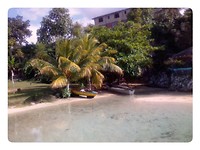 Mahogany beach