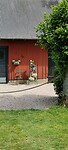 IMG20240618142322