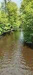 IMG20240619112818