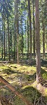 IMG20240621105753