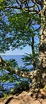 IMG20240621104906