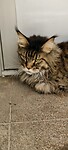 IMG20240622125231