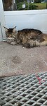 IMG20240622125221