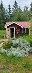 IMG20240630201629