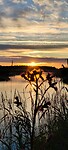 IMG20240701215222