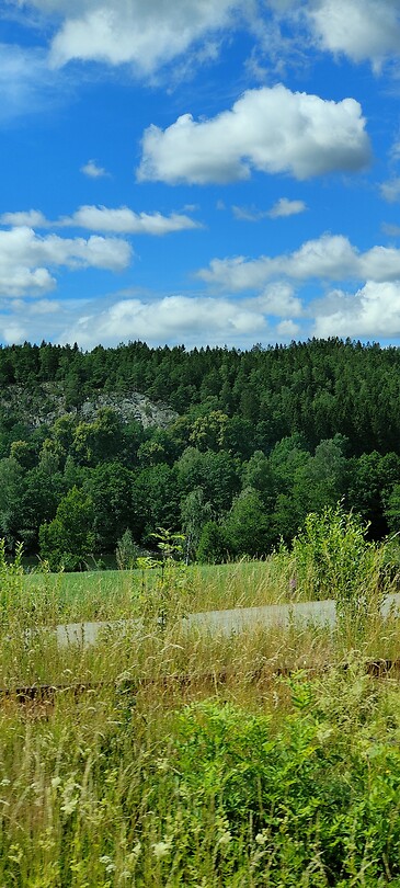 IMG20240702135709