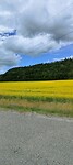 IMG20240702132438