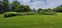 IMG20240703142818