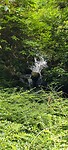 IMG20240703134523