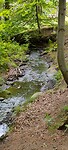 IMG20240703133007