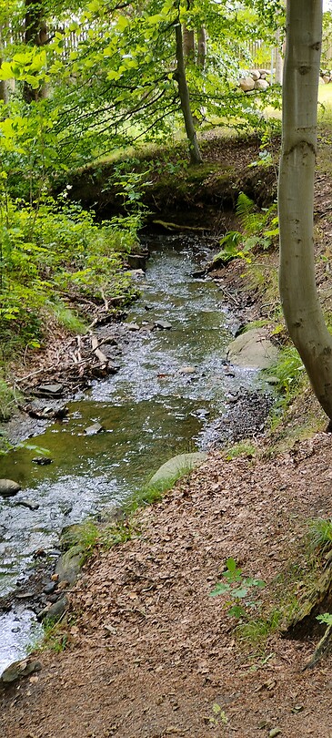 IMG20240703133007