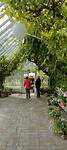 IMG20240703123243