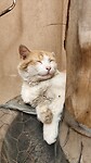 IMG20241117150746