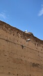 IMG20241117140331