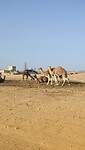 IMG20241120165334