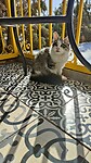 IMG20241121113946