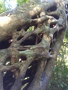 IMG_9193