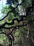 IMG_9152