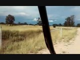 Buggy over de farm