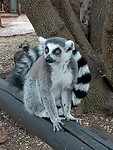 IMG20230720111803