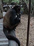 IMG20230720111719