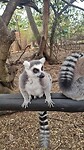 IMG-20230720-WA0081