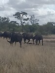 IMG20230722105137