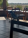 IMG20230724133423