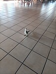 IMG20230724132412