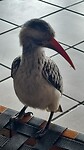 IMG-20230724-WA0011
