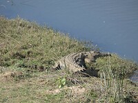 20230724160427