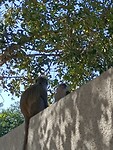 IMG20230727144806