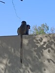 IMG20230727144757