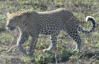 IMG_20230727_210847