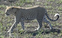 IMG_20230727_210823