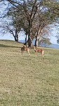 IMG-20230728-WA0002