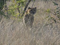 20230728172339