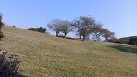 IMG-20230728-WA0004