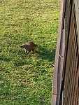 IMG20230730160607