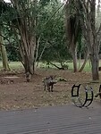 IMG20230802173111