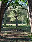 IMG20230803084233