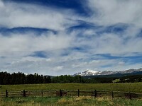 1000064279