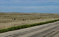 1000064245