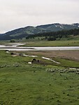 1000064842