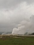 1000064990