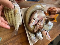 IMG_9077