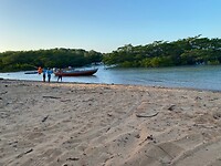 IMG_9094