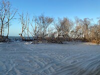 IMG_9097