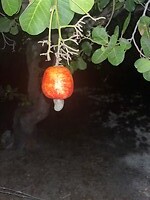 IMG_0804