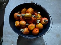 IMG_5678